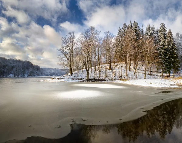 湖的树林 — — 冬季景观 — 图库照片