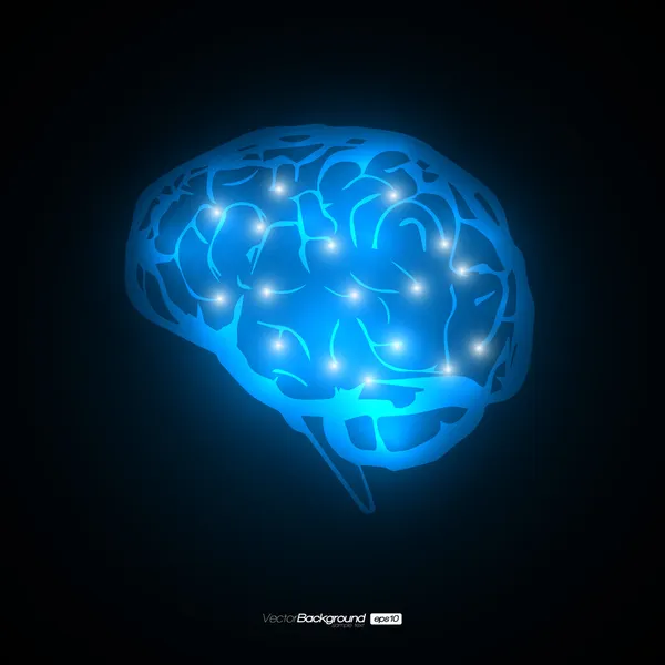 뇌 개념 벡터 디자인 Eps10 그림 — 스톡 벡터