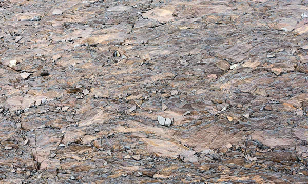 A shale rocks colored background and texture — Stock Photo, Image
