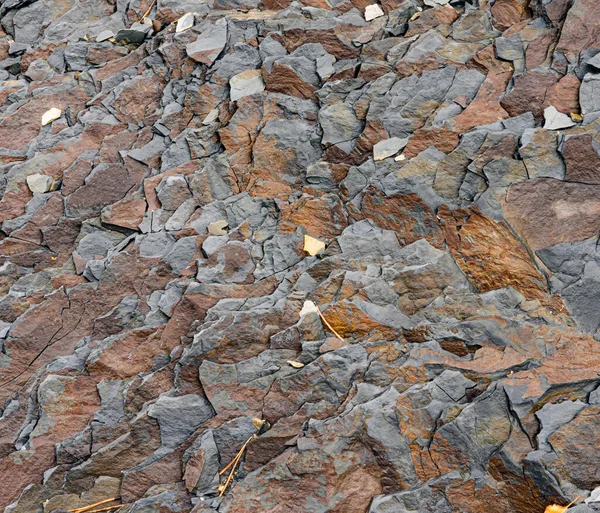 A shale rocks colored background and texture — Stock Photo, Image
