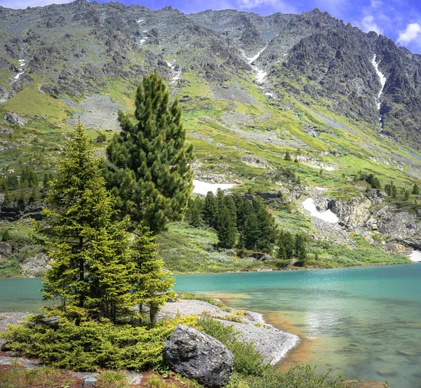Kuyguk Gölü 'ndeki ağaçlı manzara Altai renklidir.