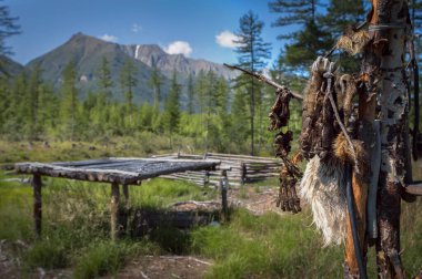 Avcı dağların manzarasında ormana park ediyor.