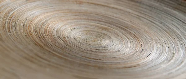 O fundo abstrato concêntrico com textura de madeira — Fotografia de Stock
