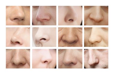 Noses of different shapes clipart