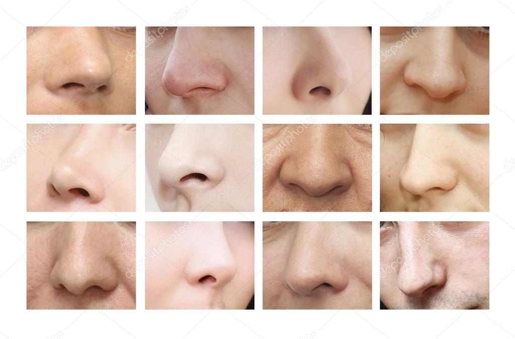 Noses of different shapes