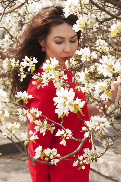 Piękna dziewczyna w czerwonej sukni. Kwitnąca jabłko — Zdjęcie stockowe