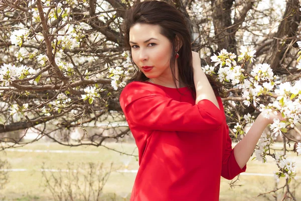 Beautiful girl in the red dress. Blossoming apple — Stock Photo, Image