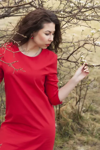 Beautiful girl in the red dress. Blossoming apple — Stock Photo, Image