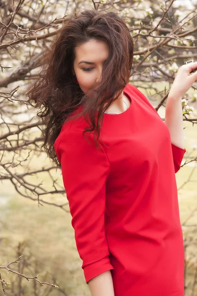 Beautiful girl in the red dress. Blossoming apple — Stock Photo, Image