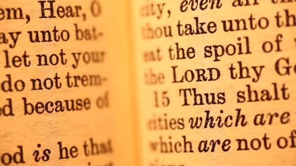 Sainte Bible 