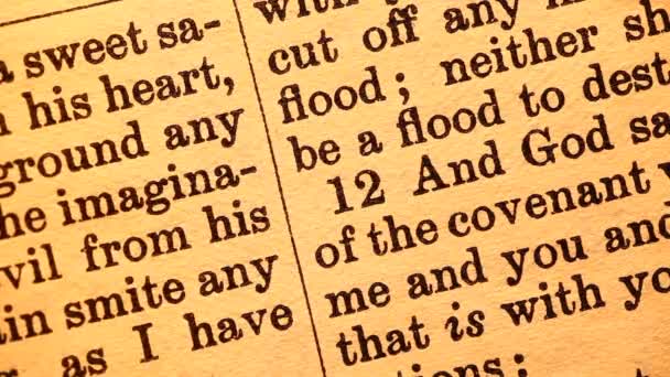 Sainte Bible 