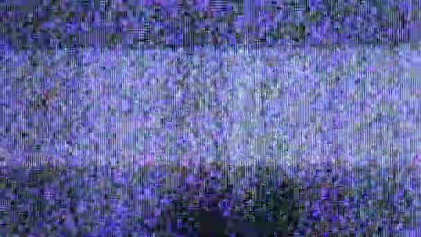 Television static noise — Stock Video