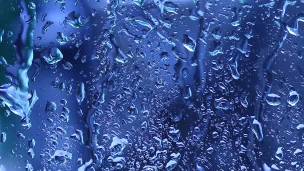 Rain drops down window — Stock Video