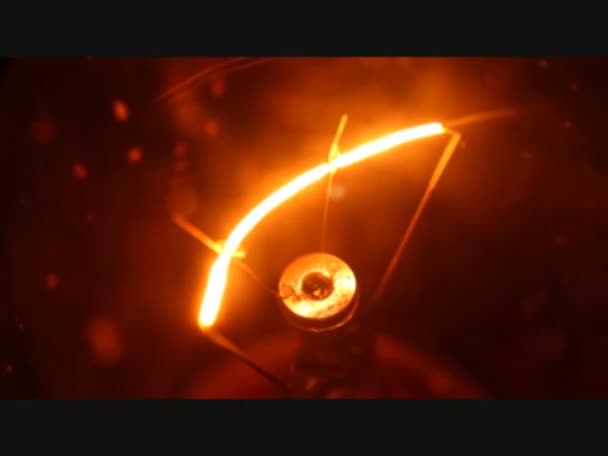 Tungsten bulb — Stock Video