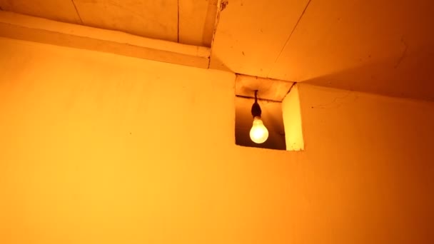 Volfram lampa — Stockvideo