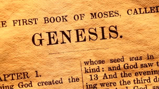 Sainte Bible 