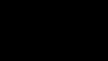 Video ışığı