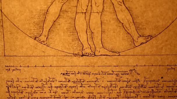 Photo de l'homme vitruvien par Léonard de Vinci de 1492 