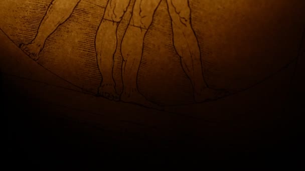 Vitruvian Man par Leonardo Da Vinci 