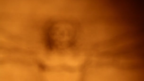 Photo de l'homme vitruvien par Léonard de Vinci de 1492 