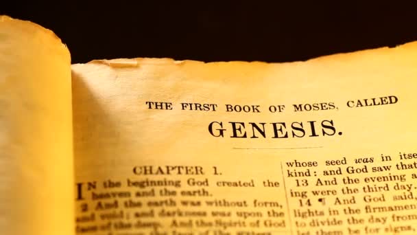 Sainte Bible 