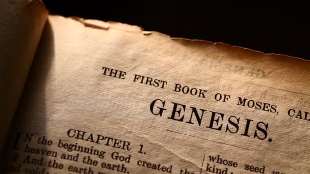 Sainte Bible 