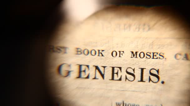 Old Holy bible — Stock Video