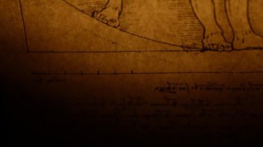 Vitruvius Adamı leonardo da Vinci'nin 1492 den tarafından
