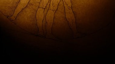 Vitruvius Adamı leonardo da Vinci'nin 1492 den tarafından