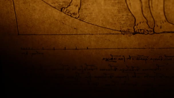 El hombre de Vitruvio por Leonardo Da Vinci desde 1492 — Vídeo de stock