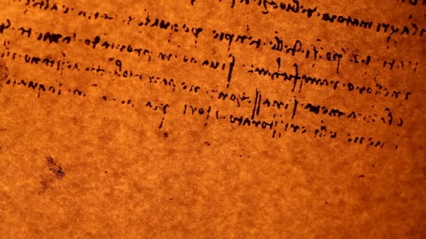 Vitruvian Man par Leonardo Da Vinci à partir de 1492 