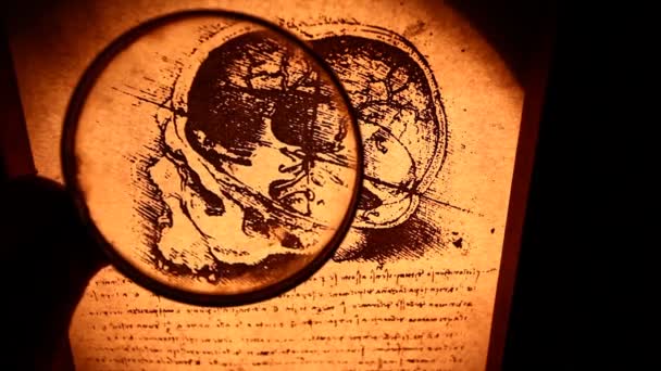 Leonardo da Vinci Анатомія — стокове відео