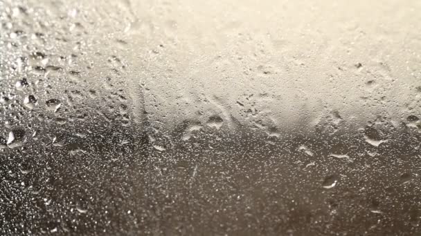 Rain drops down window — Stock Video