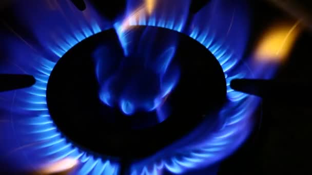 Gas burner — Stock Video