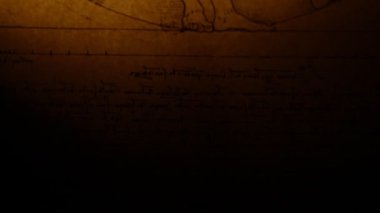 Leonardo da vinci anatomisi