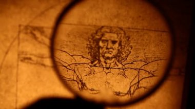 Leonardo da vinci anatomisi