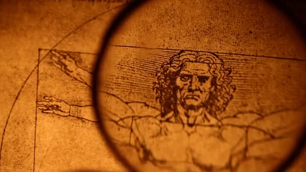 Leonardo da Vinci anatomy — Stock Video