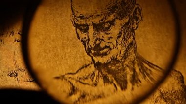 Leonardo da vinci anatomisi