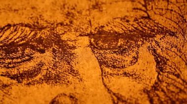 Leonardo da vinci anatomisi