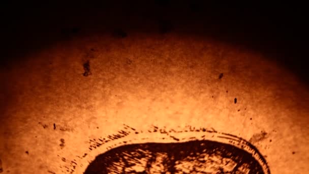 Léonard de Vinci anatomie 