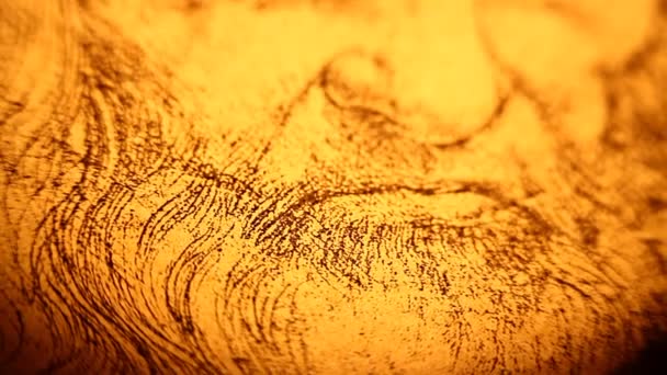 Leonardo da Vinci anatomy — Stock Video