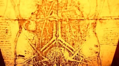 Leonardo da vinci anatomisi