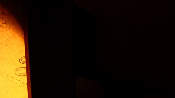 Léonard de Vinci anatomie 