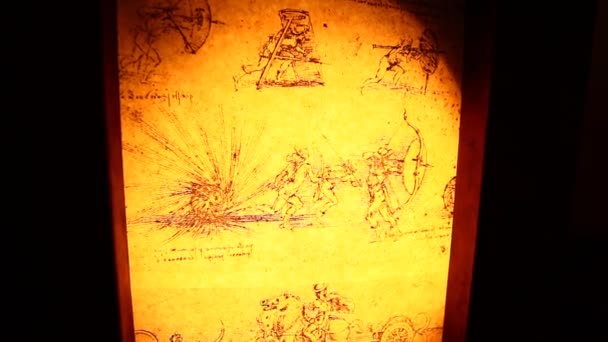 Leonardo da vinci anatomie — Stock video