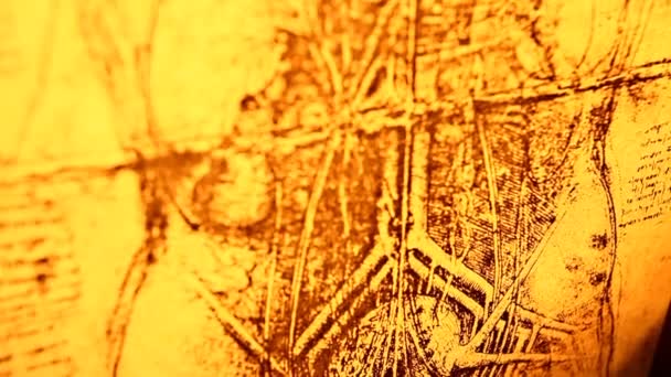 Leonardo da vinci anatomie — Stockvideo