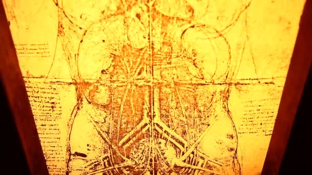 Leonardo da vinci anatomisi — Stok video