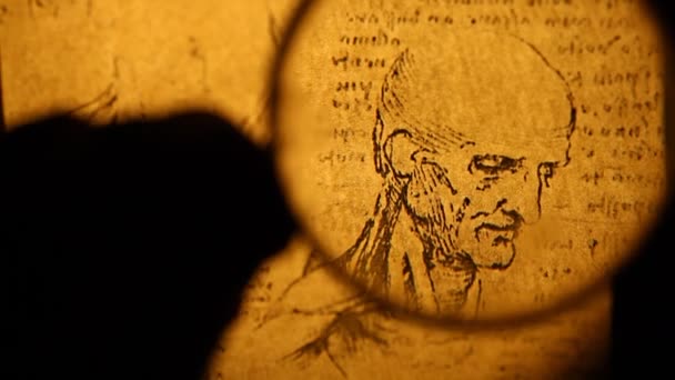 Leonardo da Vinci anatomy — Stock Video
