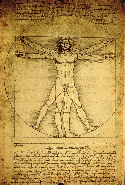 Anatomia — Zdjęcie stockowe