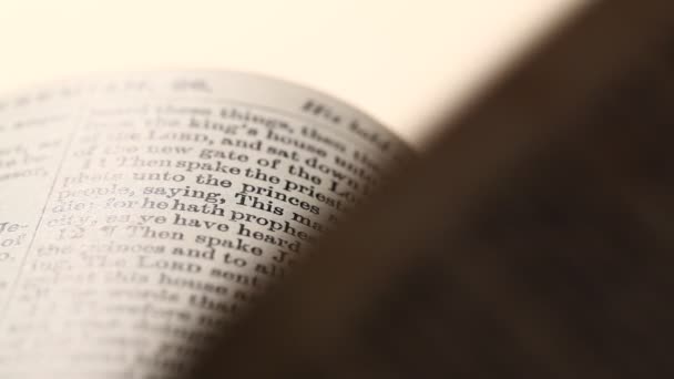 Sainte Bible 