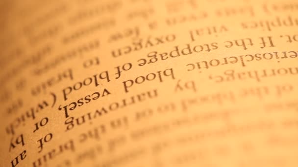 Sainte Bible 